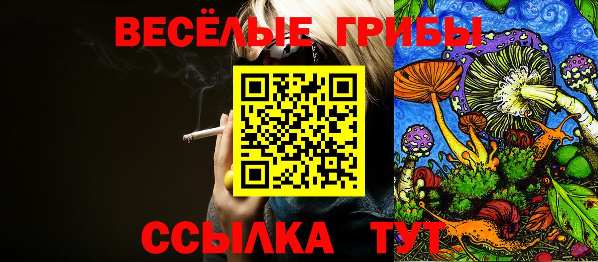Галлюциногенные грибы мицелий Верхняя Пышма