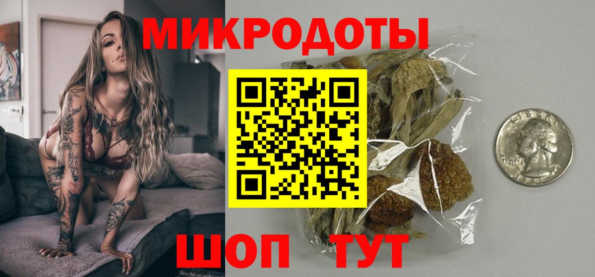 Псилоцибиновые грибы Psilocybe  Вход с VPN  Верхняя Пышма 